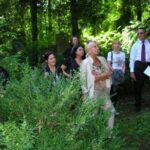 Tera-Vienna am Jüdischen Friedhof Klosterneuburg