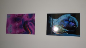 SAMSUNG CAMERA PICTURES